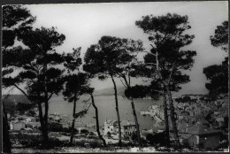 Croatia-----Mali Losinj (Lussinpiccolo)-----old Postcard - Croatie