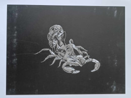 Dessin D'art - Gravure Sur Plaque De Métal - Signe Su Zodiac - Scorpion - Dim:18/24cm - Andere & Zonder Classificatie