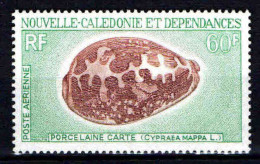 Nouvelle Calédonie  - 1970 - Coquillages -   PA 116 - Neufs ** - MNH - Ongebruikt