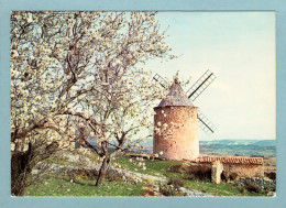 CP 84 - Provence - Vieux Moulin De Provence Dans Les Amandiers En Fleurs - Provence-Alpes-Côte D'Azur