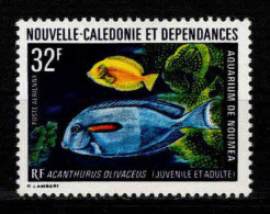 Nouvelle Calédonie  - 1973 - Aquarium  De Nouméa-   PA 145 - Neufs ** - MNH - Neufs