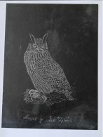 Dessin D'art - Gravure Sur Plaque De Métal - Animal - Chien - Hibou - Dim:18/24cm - Autres & Non Classés