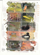 Nederland Postzegelvelletje Beleef De Natuur Vogels 2024 - Neufs