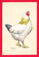 Illust-2168Ph126  JANE, Une Poule, Cpa Picot - Other & Unclassified