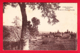 F-86-L'Isle Jourdain-09P56 Les Rives De La Vienne à Chardes, Vaches Dans Le Pré, Cpa  - L'Isle Jourdain