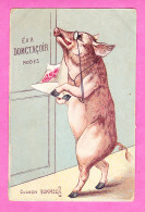 Animaux-444P139 Cochon Humnisé, Cochon Avec Binocle Qui Tient Des Fleurs Dans Les Pattes, Cpa Colorisée - Varkens