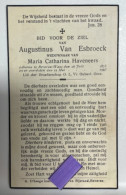 Devotie DP  Overlijden Augustinus Van Esbroeck Wwe Haveneers - Beveren-Waas 1873 - 1943 - Décès