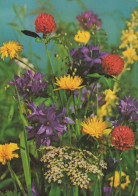 FLOWERS Vintage Postcard CPSM #PAR228.A - Flowers