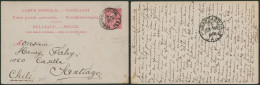 EP Au Type 10ctm Rose (n°46) Obl Simple Cercle "Verviers (station)" > Santiago (Chili) + Arrivée. - Postcards 1871-1909