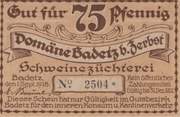 75 PFENNIG 1918 Stadt BADETZ Anhalt UNC DEUTSCHLAND Notgeld Banknote #PH303 - Lokale Ausgaben