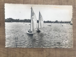 ENGHIEN Les BAINS Régates Sur Le Lac - Enghien Les Bains