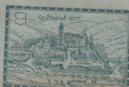 80 HELLER 1920 Stadt STEYREGG Oberösterreich Österreich Notgeld Banknote #PE605 - [11] Emissioni Locali