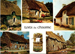 17-4-2024 (2 Z 20) Frace - Toits De Chaume (Fermes) Thatched Roofs (Farms) - Granja