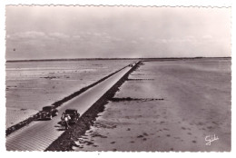 ILE DE NOIRMOUTIER - Le Passage Du Gois (carte Photo Animée) - Noirmoutier