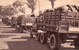 Militaria - Train Des équipages Militaires - Transport De Chevaux - Ausrüstung