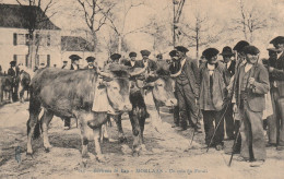 Environs De Pau- MORLAAS- Un Coin Du Forail - Marché Aux Bestiaux - Otros & Sin Clasificación