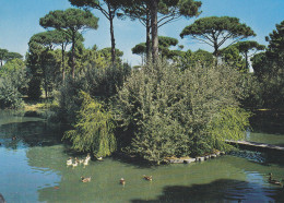 Cervia - Milano Marittima(ravenna) - Pineta - Parco Naturale - Non Viaggiata - Ravenna