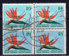RSA+ Südafrika 1963 Mi 337 Paradiesvogelblume (1 Briefmarke, 1 Stamp, 1 Timbre !!!) - Gebruikt