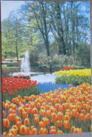 HOLLAND NETHERLAND LISSE KEUKENHOF FLOWER GARDENS POSTCARD CARTOLINA ANSICHTSKARTE CARTE POSTALE POSTKARTE CARD KARTE - Lisse