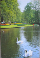 HOLLAND NETHERLAND LISSE KEUKENHOF FLOWER GARDENS POSTCARD CARTOLINA ANSICHTSKARTE CARTE POSTALE POSTKARTE CARD KARTE - Lisse