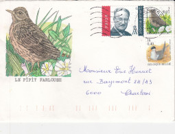 OISEAUX BUZIN  LE PIPIT FARLOUSE - 1985-.. Vogels (Buzin)