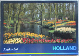 HOLLAND NETHERLAND LISSE KEUKENHOF FLOWER GARDENS POSTCARD CARTOLINA ANSICHTSKARTE CARTE POSTALE POSTKARTE CARD KARTE - 's-Hertogenbosch