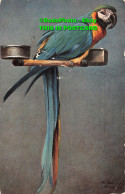 R394068 Parrot. Ernest Nister. London. Series 120. E. P. Dutton. 1907 - Andere & Zonder Classificatie