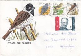 OISEAUX BUZIN  BRUANT DES ROSEAUX - 1985-.. Vogels (Buzin)