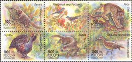 Russia 1997 Wildlife Of Russia. Mi 597-601 - Nuevos