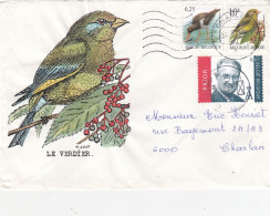 OISEAUX BUZIN  LE VERDIER - 1985-.. Birds (Buzin)