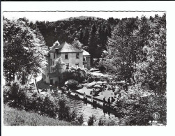 LA ROCHE EN ARDENNE  L'Hôtel Champêtre LES MERLETTES   La Piscine Et La Terrasse - La-Roche-en-Ardenne