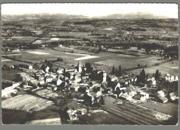 CPSM 38 - Saint André Le Gaz - Vue Panoramique - Saint-André-le-Gaz