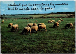 EN VACANCES. -  Pendant Que Tu Compteras Les Moutons ..... - Humor