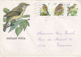 OISEAUX BUZIN  POUILLOT FITIS - 1985-.. Birds (Buzin)