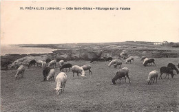 PREFAILLES Cote Saint Gildas Paturage Sur La Falaise 3(scan Recto-verso) MA1423 - Préfailles