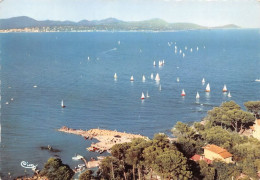 SAINT AYGULF Vue Aerienne Regates En Mediterranee Panorama Vers L Esterel 18(scan Recto-verso) MA1461 - Saint-Aygulf