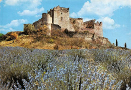 GREOUX LES BAINS Toursime Thermalisme Climatisme Ruines Du Chateau Des Templiers 17(scan Recto-verso) MA1458 - Gréoux-les-Bains