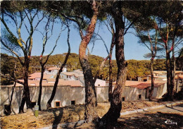 SIX FOURS LES PLAGES LE BRUSC Centre De Vacances Du Brusc Groupe De Bungalows Sous La Pinede 13(scan Recto-verso) MA1453 - Six-Fours-les-Plages