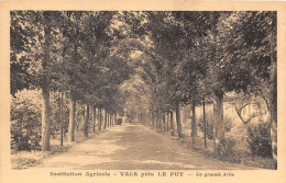 VALS Pres LE PUY La Grande Allee 1(scan Recto-verso) MA1464 - Le Puy En Velay