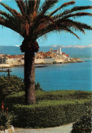 ANTIBES LA VIEILLE VILLE Au Fond Les Alpes Neigeuses 3(scan Recto-verso) MA1463 - Antibes - Old Town