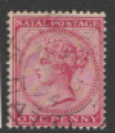 Natal  1882  SG 99a  1d  Fie Used - Natal (1857-1909)