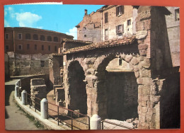 TERAMO - Anfiteatro Romano - 1983 (c664) - Teramo