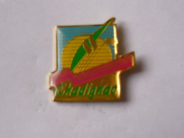 Pins CHADIGNAC QUARTIER DE LA VILLE DE SAINTES 17 - Städte