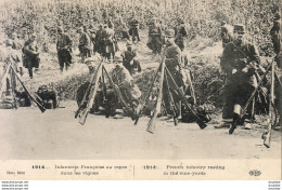 MILITARIA GUERRE 14-18 WW1 Infanterie Française Au Repos Dans Les Vignes - War 1914-18