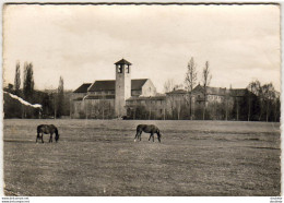 D65  ABBAYE NOTRE- DAME DE TOURNAY  Vue Générale   ..... - Tournay