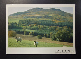 Eire - Ireland - Gleann Garsh - Sheap - Meadows - Hills -  Used Card With Stamp / Timbre - Donegal