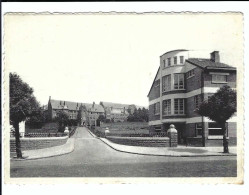 Heverlee Instituut V H H Hart  Institut Du Sacré-Coeur  1947 - Leuven