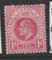 Natal  1902  SG 128  1d  Crown CA  Wmk  Mounted Mit - Natal (1857-1909)