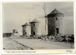 CPSM RHODES - Moulins à Vent Sur Le Quai - Wind-mills On The Sea-shore - Grecia