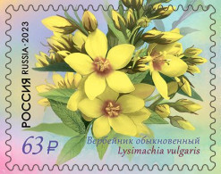 RUSSIE/RUSSIA/RUSSLAND/ROSJA 2023** MI.3265-68  ,ZAG..3040-43 Flora Of Russia. Primrose Family series MNH ** - Nuevos